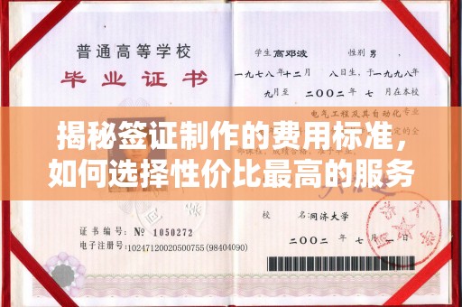 道真揭秘签证制作的费用标准，如何选择性价比最高的服务？